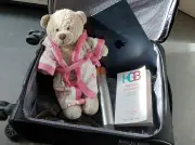 Gestohlener Teddybär kehrt nach Bremen zurück: Bundespolizei löst Fall dank Videoüberwachung