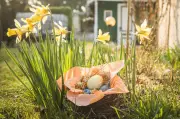 Gesunde Osternester: Ernährungsexpertin verrät bunte Alternativen zu Schokolade