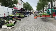 Grüner Markt in Neubrandenburg startet mit neuen Händlern in die Saison
