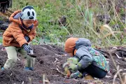 Großes Gemeinschaftsprojekt: 500 neue Bäume für den Akener Schulwald