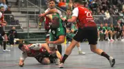 Handball-Regionalliga: Aschersleben Alligators verlieren in Dresden nach Siegesserie