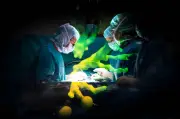 Hightech im OP: Wie VR-Brillen und 3D-Druck Leben retten - Ein Blick in die Medizin der Zukunft