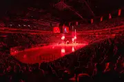 Kölner Haie brechen eigenen Europarekord: Über 18.000 Fans pro Heimspiel