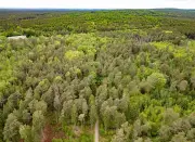 Landgericht Dresden: Täter im Fall „Emma“ für schuldunfähig erklärt