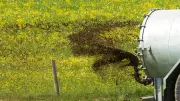 Landwirtschaftsunfall bei Krautheim: 20.000 Liter Gülle auf Grünstreifen ausgelaufen