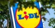 Lidl baut in Kirchheim bei München nachhaltige Holzbau-Filiale