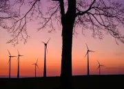 Mildes Wetter in Berlin und Brandenburg hält an - Regen und nächtlicher Frost erwartet