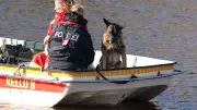 Mysteriöser Fall in Celle: Leichenspürhund Simba sucht in der Aller nach vermisster Michelle (25)