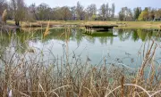 Naumburgs Badeteich am Blütengrund: Überraschende Kostenanalyse weckt Hoffnung auf Tourismus-Boom