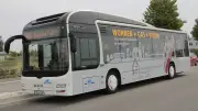 Neue Buslinie mv81: Direktverbindung von Anklam nach Heringsdorf ab 1. April