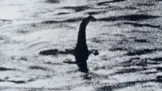 Neue Theorie zum Monster von Loch Ness: Lebt eine ganze Familie im See?