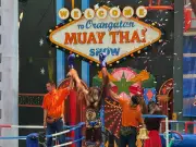 Orang-Utans als Touristenattraktion: Box-Shows und entwürdigende Auftritte in Asien