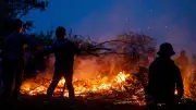 Osterfeuer 2026 in Sachsen-Anhalt: Tradition, Bedeutung und die schönsten Orte