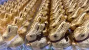 Osterhasen-Paradox: Schokolade billiger, Markenhasen teurer - Experten warnen vor Luxusgut
