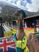 Paralympics-Drama in Cortina: Australisches Maskottchen Bruce nach Entführung zurück