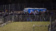 Polizei Berlin rechtfertigt Einsatz bei HFC-Spiel: Auseinandersetzungen mit Fans im Fokus