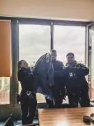 Polizei rettet Schwan von Balkon im fünften Stock in Berlin-Kreuzberg