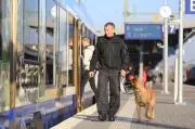 Polizeihunde in Sachsen-Anhalt: Weniger Einsätze, aber längere Einsatzzeiten 2025