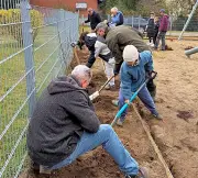 Rotary Club pflanzt grüne Schattenspender für Kita in Quellendorf