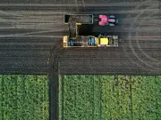 Sachsen-Anhalts Äcker leiden unter Wassermangel - Bauern bangen um Ernteerträge