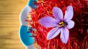 Safran: Kostbares Gewürz mit Potenzial gegen Depressionen und Krebs?