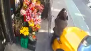 Schock in New York: Taxifahrer rast in zwei Frauen vor Deli