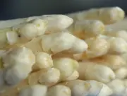 Spargelsaison in Brandenburg gestartet: Erste Ernte in Beelitz eingebracht