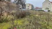 Stadtgarten-Projekt in Neubrandenburg: Neue Infoveranstaltung am 22. März