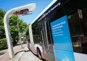 Studie: Elektrobusflotte im ÖPNV wächst weiter – Fast jeder zweite Neubus elektrisch