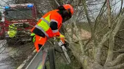 Sturmtief fordert Feuerwehr in Gadebusch: Bäume stürzen auf B208 und Scheibenberg
