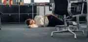 Tag des Nickerchens am Arbeitsplatz: Warum Powernaps oft arbeitsrechtlich riskant sind