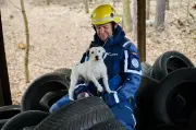 THW-Rettungshunde üben in Berlin für den Ernstfall nach Naturkatastrophen