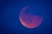 Totale Mondfinsternis am Dienstag: Spektakel nur von Hawaii bis Alaska sichtbar