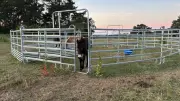 Unglaublicher Diebstahl in der Uckermark: Ganzes Gatter auseinandergebaut und abtransportiert