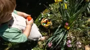 Urlaub clever planen: Mit Brückentagen 2026/27 in Sachsen-Anhalt freie Tage maximieren