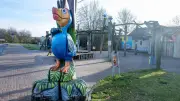 Vogelpark Marlow startet mit seltenen Zwillingen und fliegenden Affen in die Saison