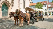 Zeitzer Reitanlage öffnet Stalltüren: Von Pony-Partys bis historischen Stadtführungen
