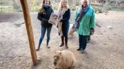 Zoo Schwerin und Weiße Flotte starten Kooperation mit Rabatten und Artenschutz-Patenschaft