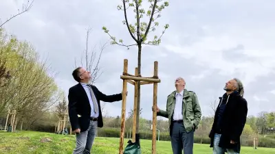 30 Bäume für kühlenden Schatten in Harzer Freibädern gepflanzt