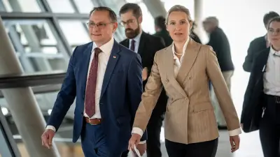 AfD holt sich Regierungstipps von FPÖ: „Extrem wertvoll“