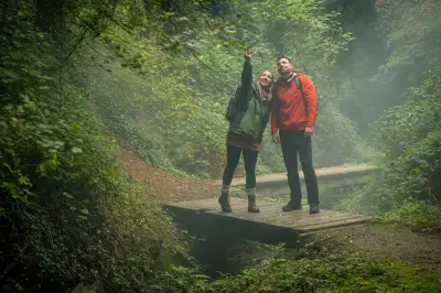 Ahrtal nach Flutkatastrophe: Sieben neue Wanderwege als Symbol des Neubeginns