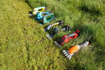 Akku-Multischeren im Test: Welche Geräte schneiden Rasen und Sträucher am besten?