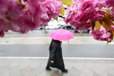 April 2026: Viel Regen und viel Sonne in Berlin und Brandenburg