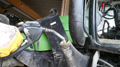 Bauernverband warnt vor drastischen Lebensmittelpreissteigerungen ab Sommer