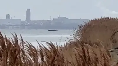 BILD-Reporter auf Poel: Timmys soll in Ruhe sterben können – Lage unverändert