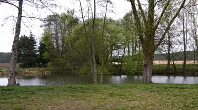 Böller-Explosion in Neu Krenzlin: Kinder schwer verletzt - Polizei sucht nach Ursprung der Pyrotechnik