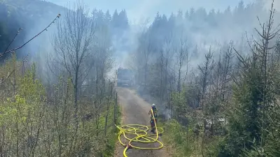Brand in Rohrdorf: 4000 Quadratmeter Wald vernichtet