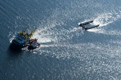 Buckelwal auf Transport Richtung Nordsee: Experten skeptisch