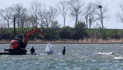 Buckelwal-Rettung: Transportkahn soll Wal in die Nordsee bringen