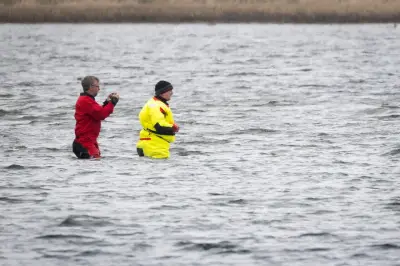 Buckelwal vor Poel: Ruhe täuscht – Tier leidet unter Lärm und Stress